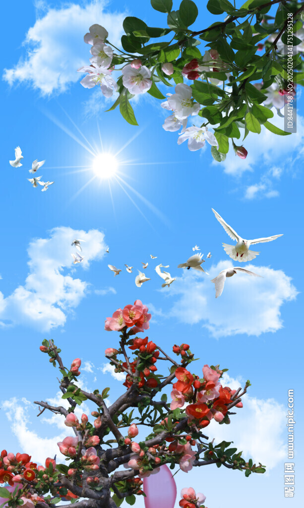 蓝天白云 鸽子