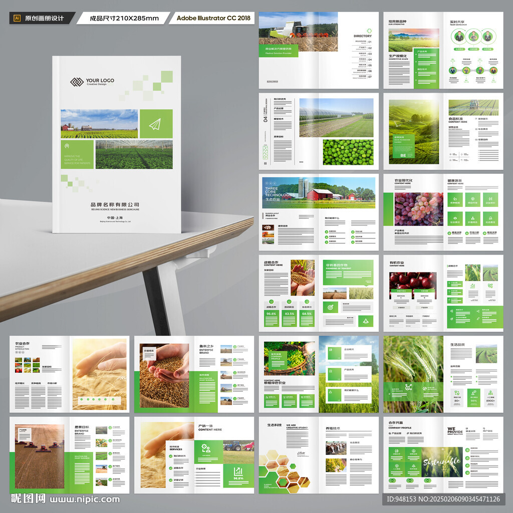 农产品宣传册