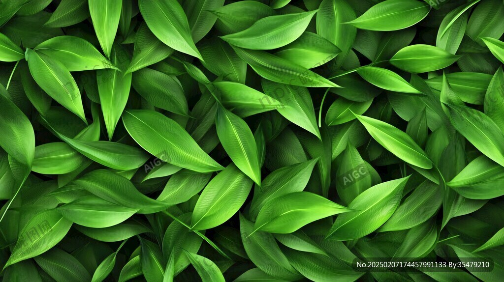高清绿叶背景图片