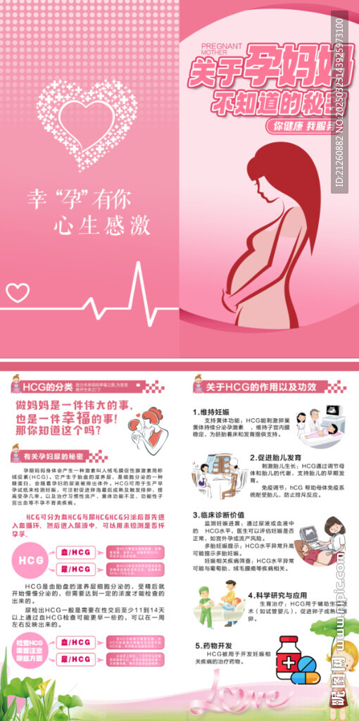 孕妇健康折页