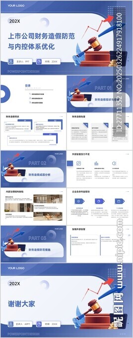 上市公司财务造假防范与内控体系