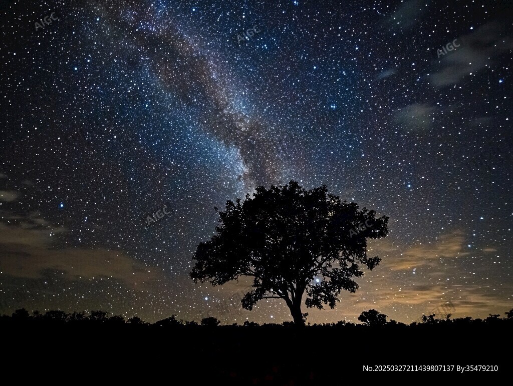 夜空下的孤树与璀璨星河