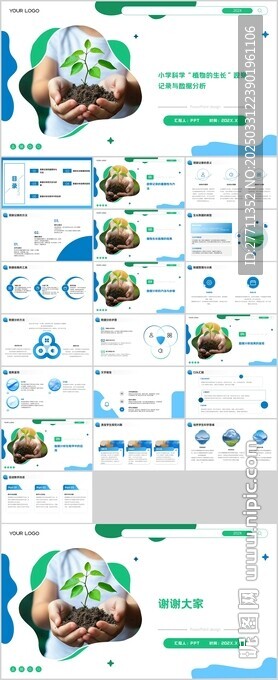 小学科学 植物的生长 观察记