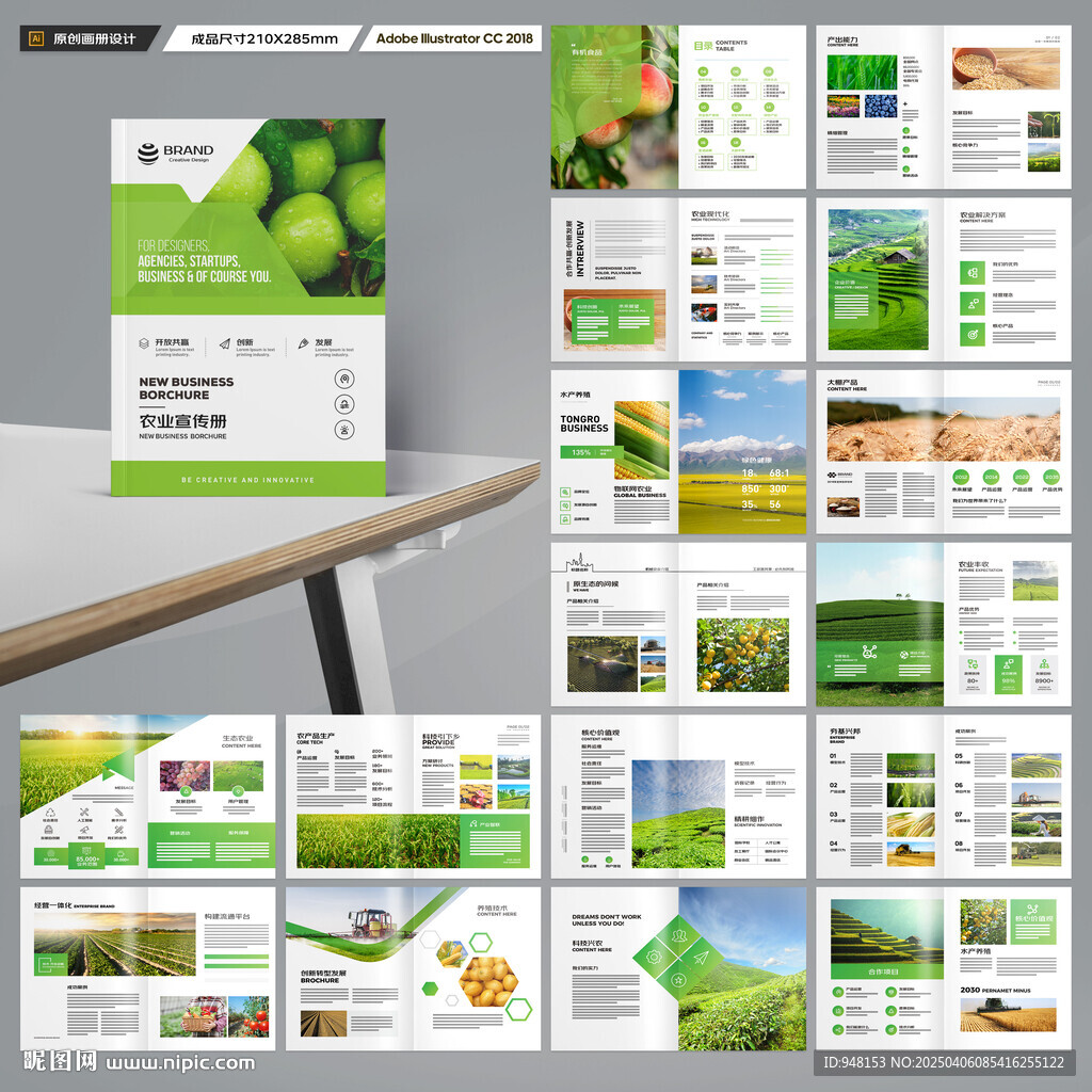 农产品宣传册