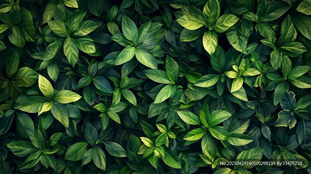 翠绿叶片组成的生机背景
