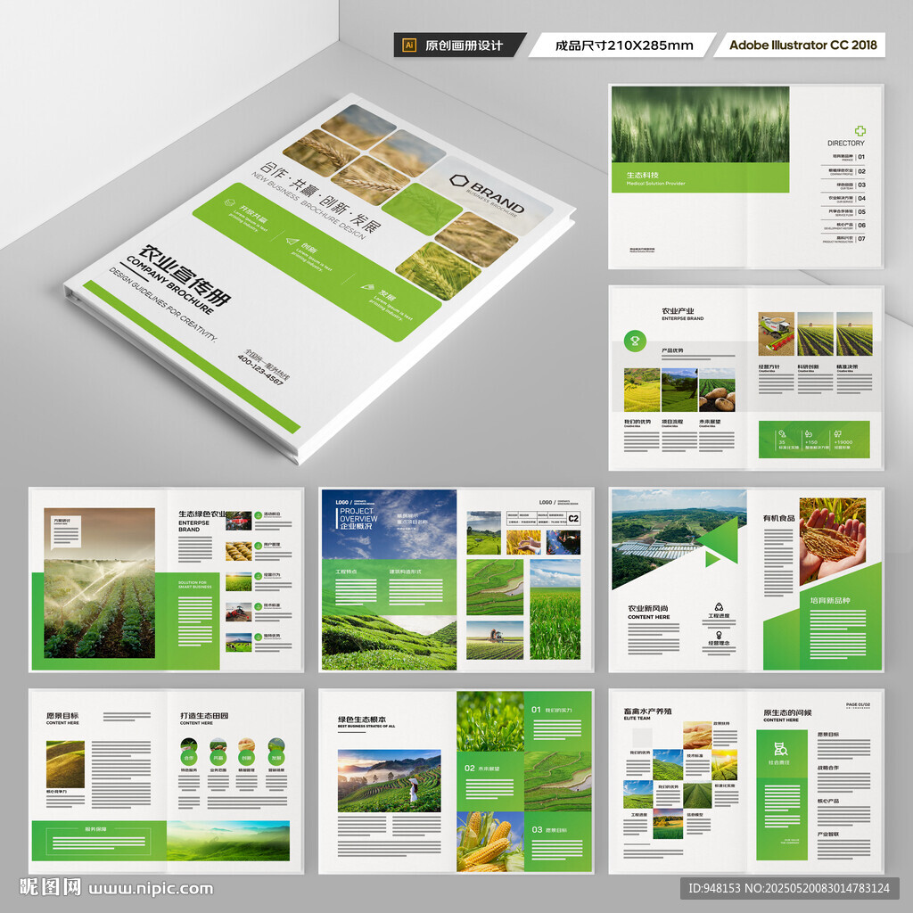 农产品宣传册