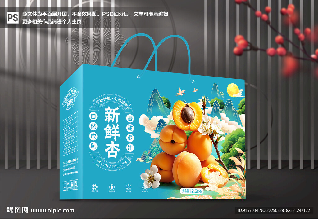 杏包装 杏脯礼盒