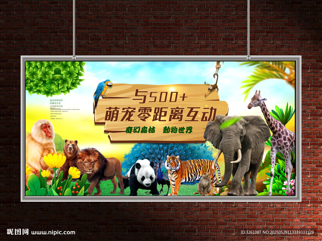 动物园展板