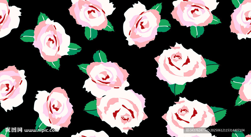 黑色背景上的粉色玫瑰花