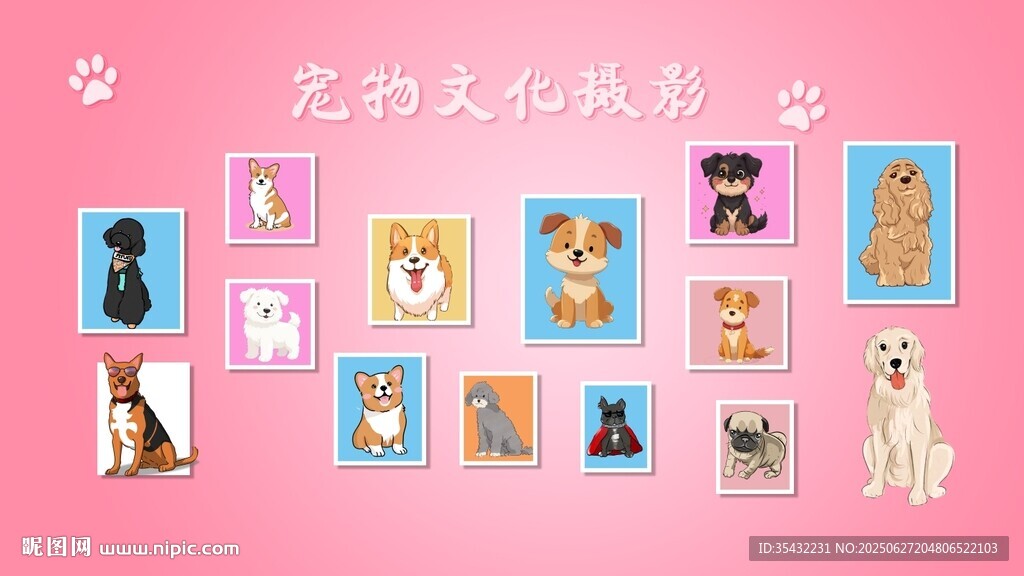 宠物摄影可爱照片墙展示