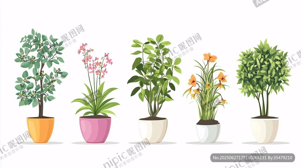 多彩盆栽植物展示