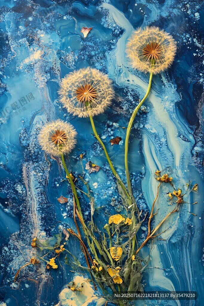 梦幻蓝调下的蒲公英绽放