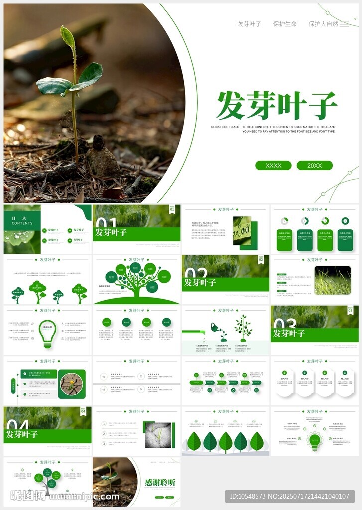 植物发芽植物生长敬畏生命PPT