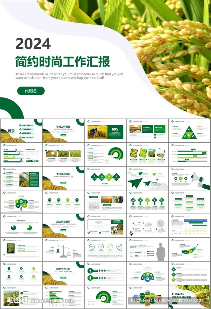 水稻农田农业种植大米PPT模板