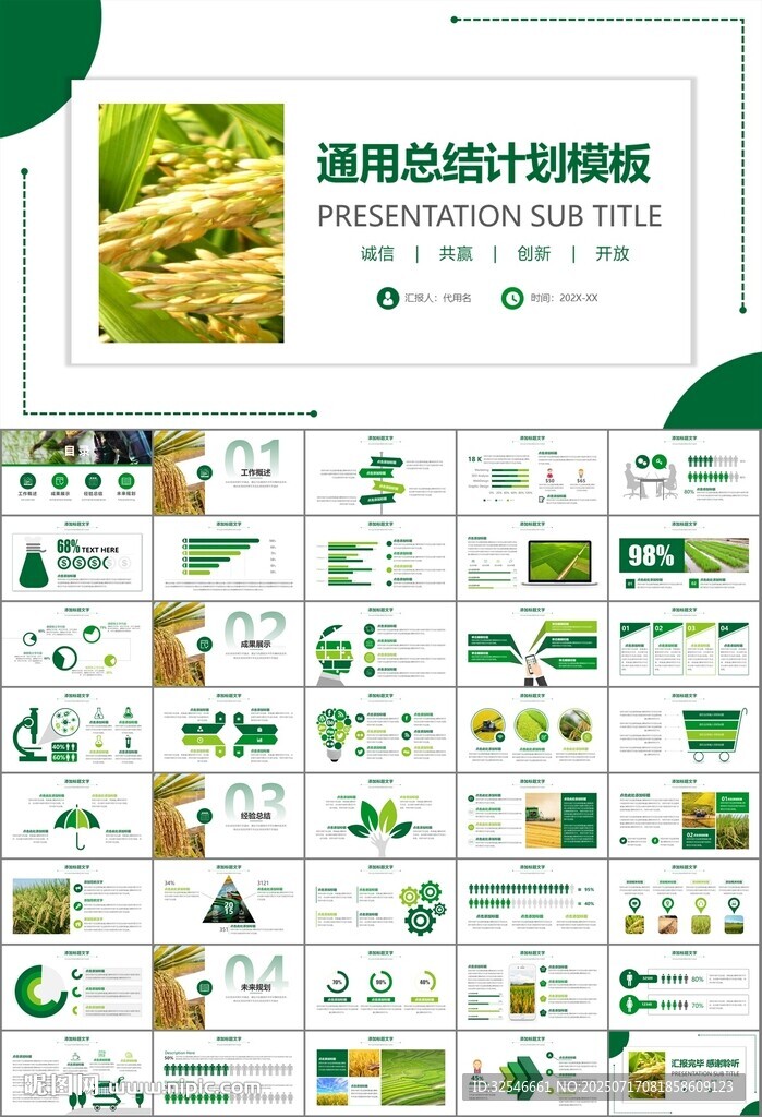 水稻农田农业种植大米PPT模板