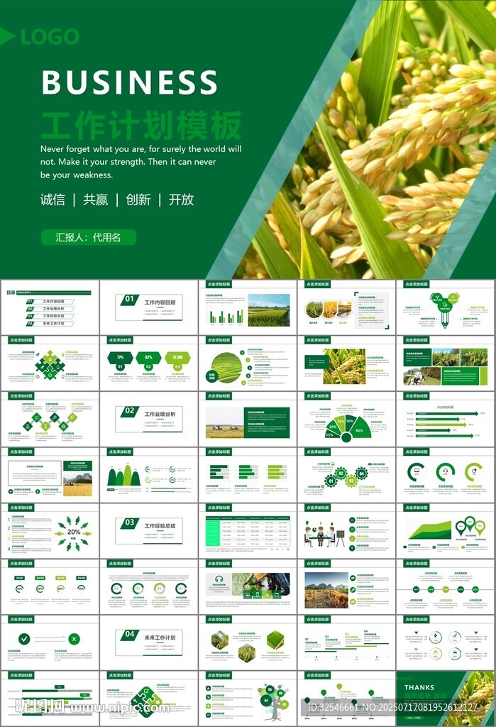 水稻农田农业种植大米PPT模板