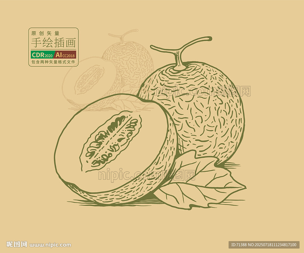 手绘矢量哈密瓜
