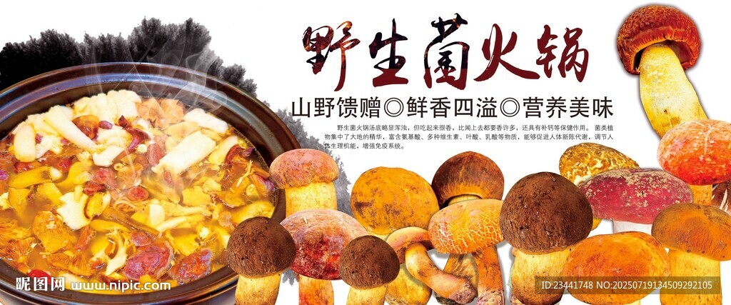 野生菌火锅