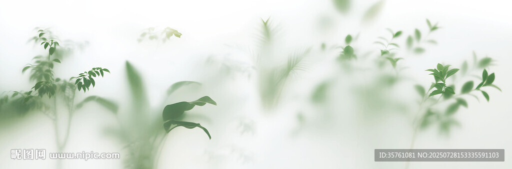 雾气磨砂膜效果绿植贴图