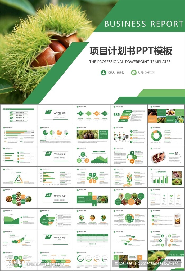 营养美食美味板栗种植宣传PPT