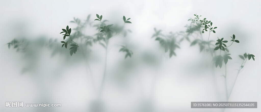 雾气磨砂膜效果绿植贴图