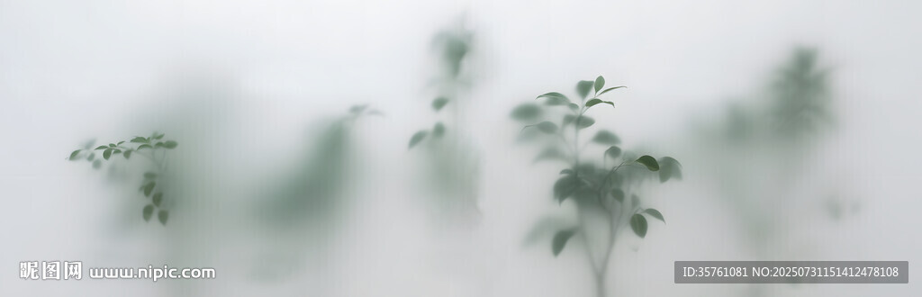 雾气磨砂膜效果绿植贴图