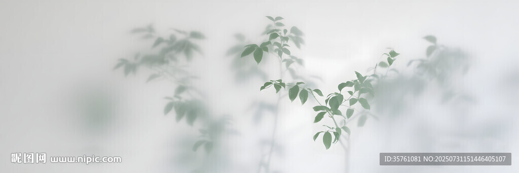 雾气磨砂膜效果绿植贴图