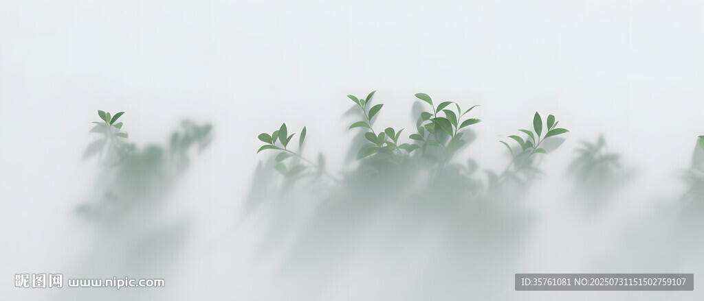 雾气磨砂膜效果绿植贴图