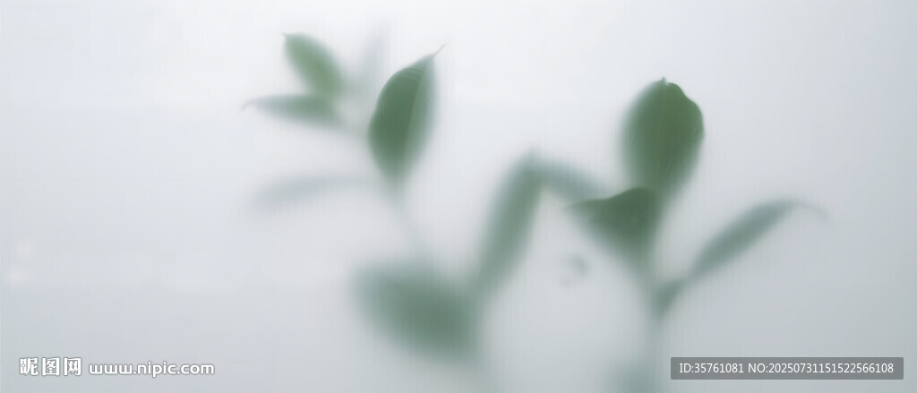 雾气磨砂膜效果绿植贴图