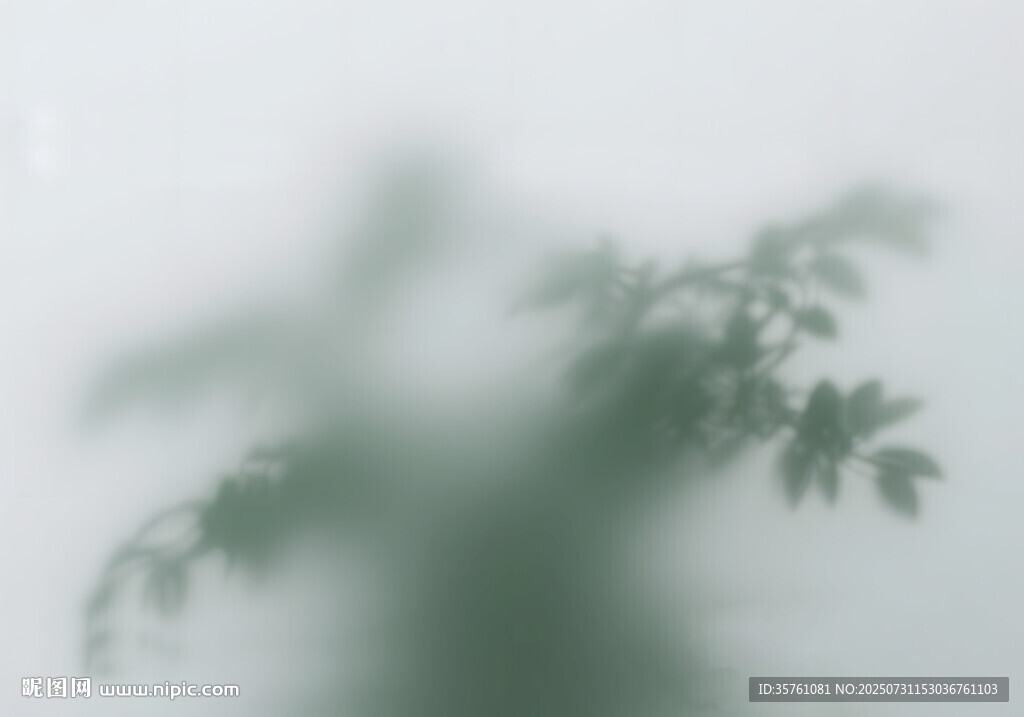 雾气磨砂膜效果绿植贴图