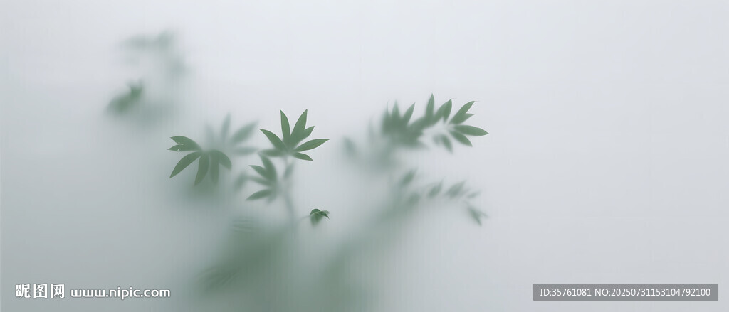 雾气磨砂膜效果绿植贴图