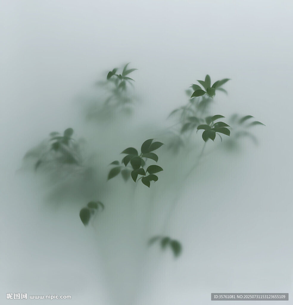 雾气磨砂膜效果绿植贴图