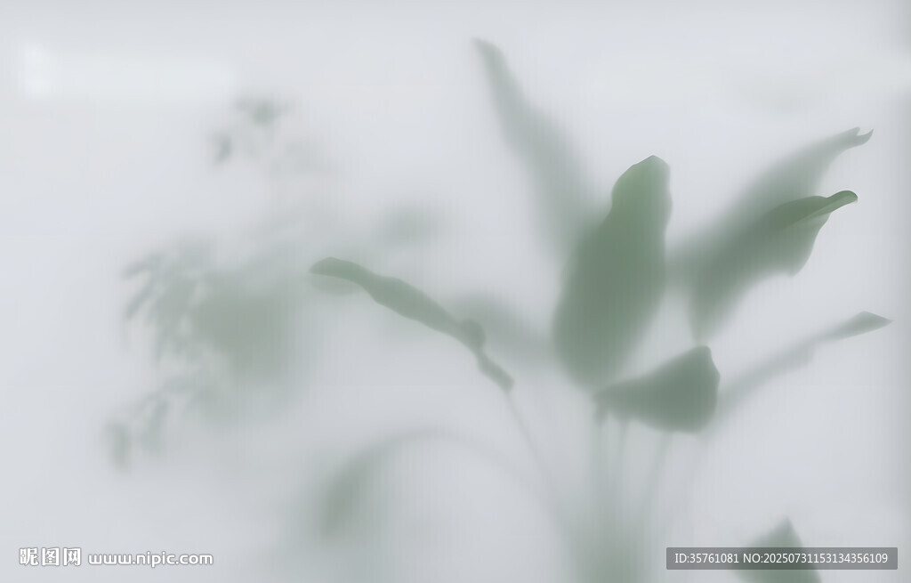 雾气磨砂膜效果绿植贴图