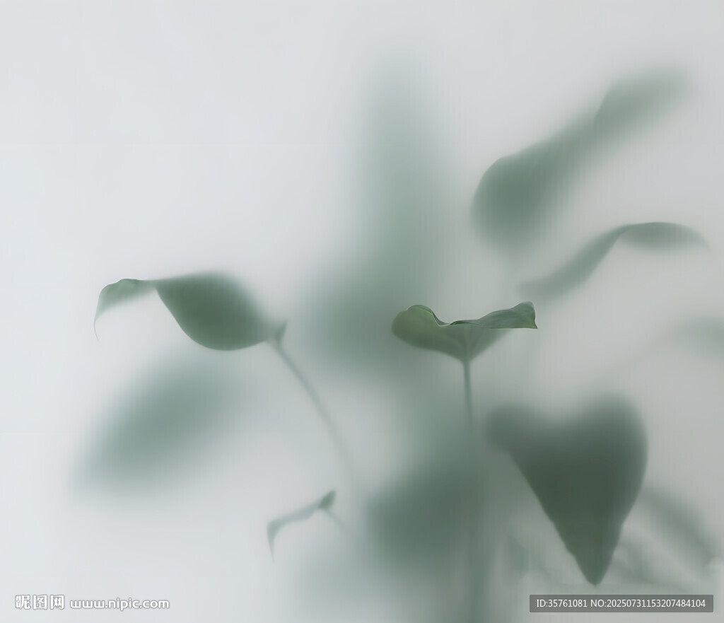 雾气磨砂膜效果绿植贴图