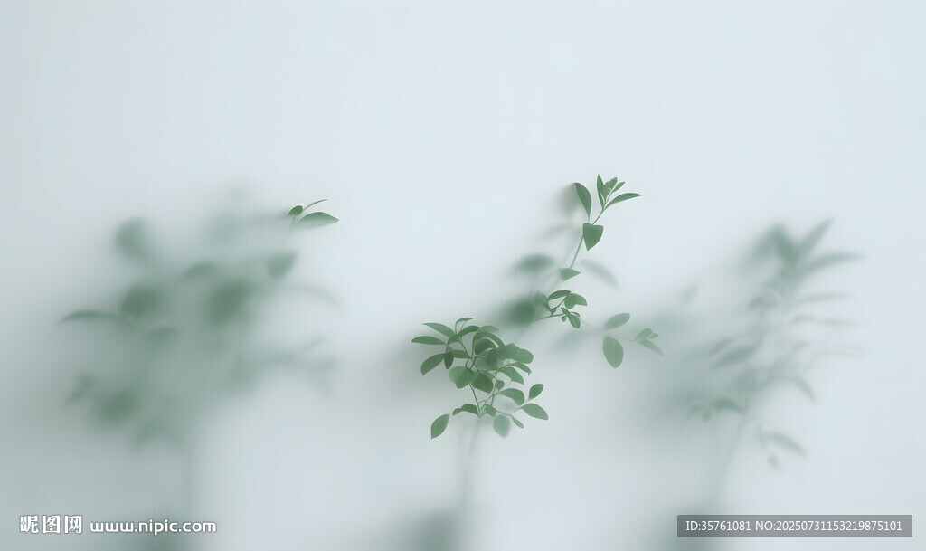 雾气磨砂膜效果绿植贴图