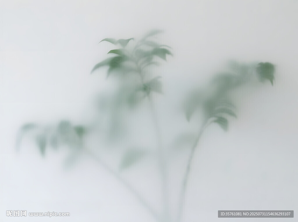 雾气磨砂膜效果绿植贴图