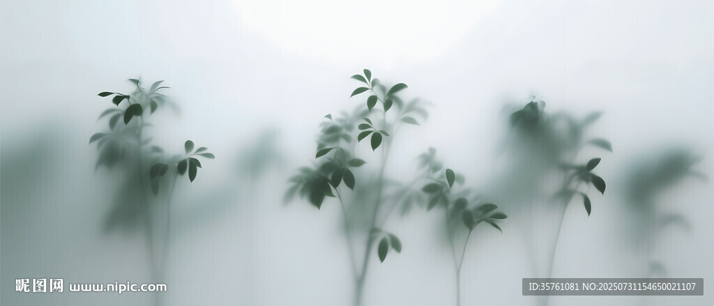 雾气磨砂膜效果绿植贴图