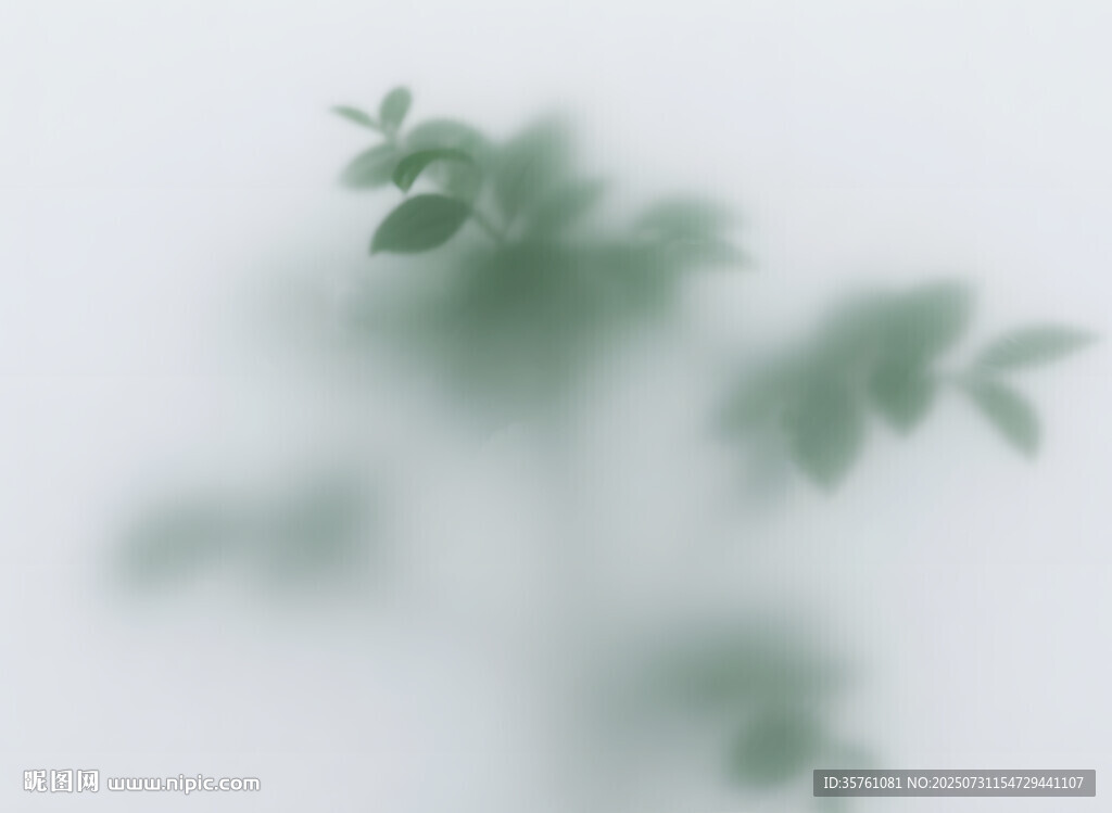 雾气磨砂膜效果绿植贴图