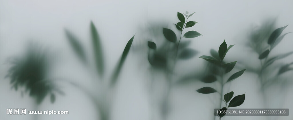 雾气磨砂膜效果绿植贴图