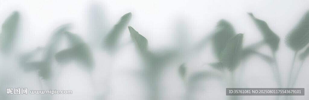 雾气磨砂膜效果绿植贴图