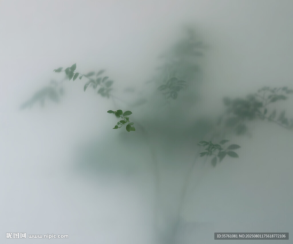 雾气磨砂膜效果绿植贴图
