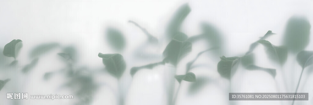 雾气磨砂膜效果绿植贴图