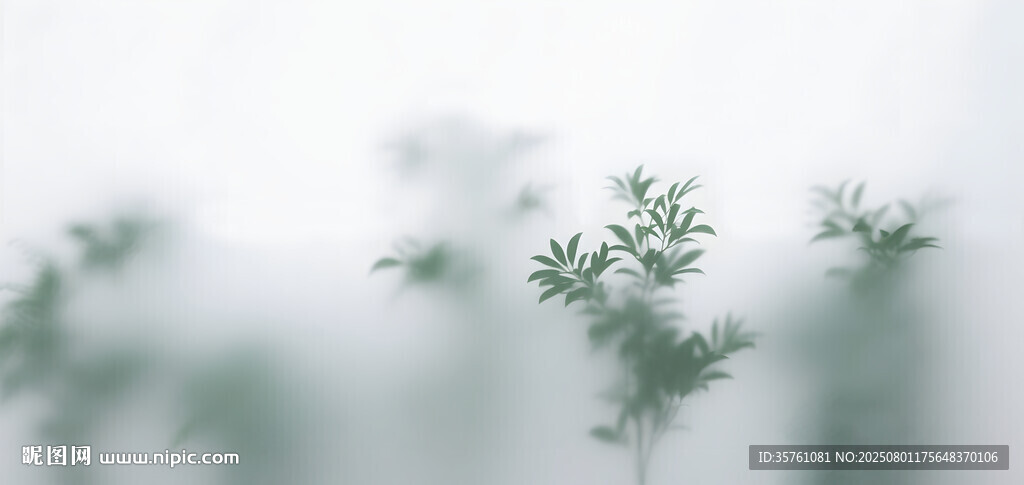 雾气磨砂膜效果绿植贴图 