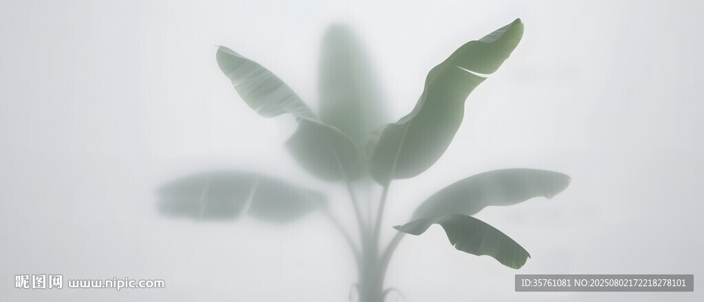 雾气磨砂膜效果绿植贴图