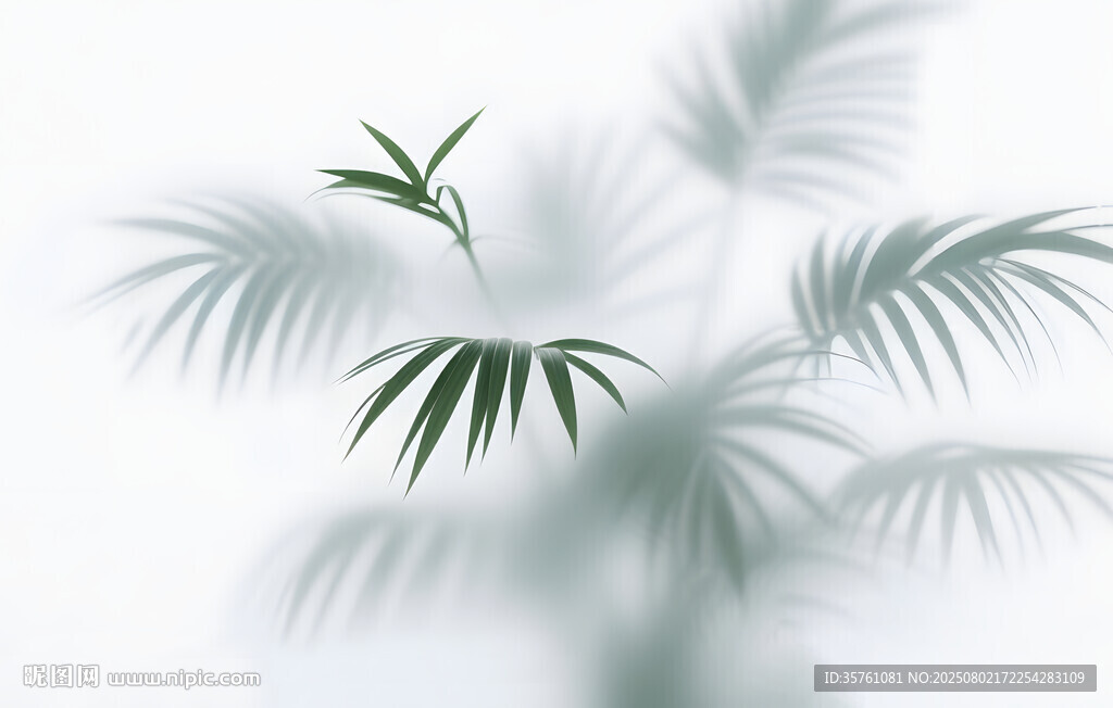 雾气磨砂膜效果绿植贴图