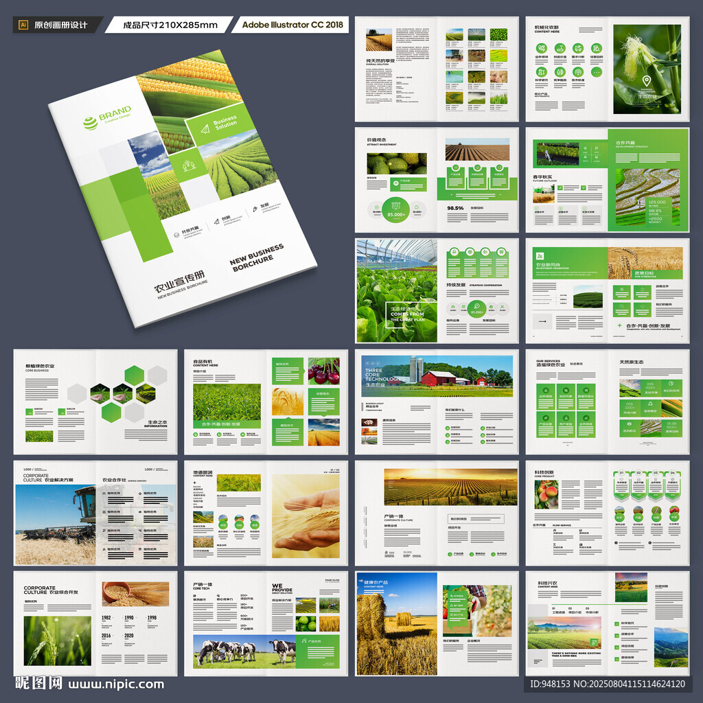 农产品宣传册