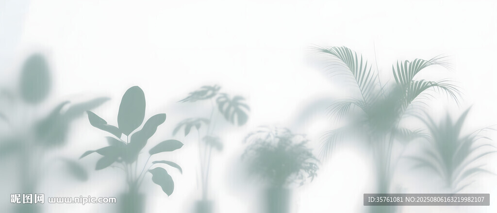 雾气磨砂膜效果绿植贴图