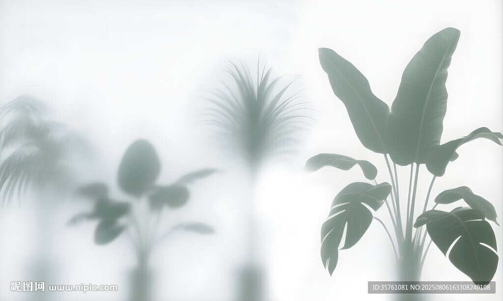 雾气磨砂膜效果绿植贴图