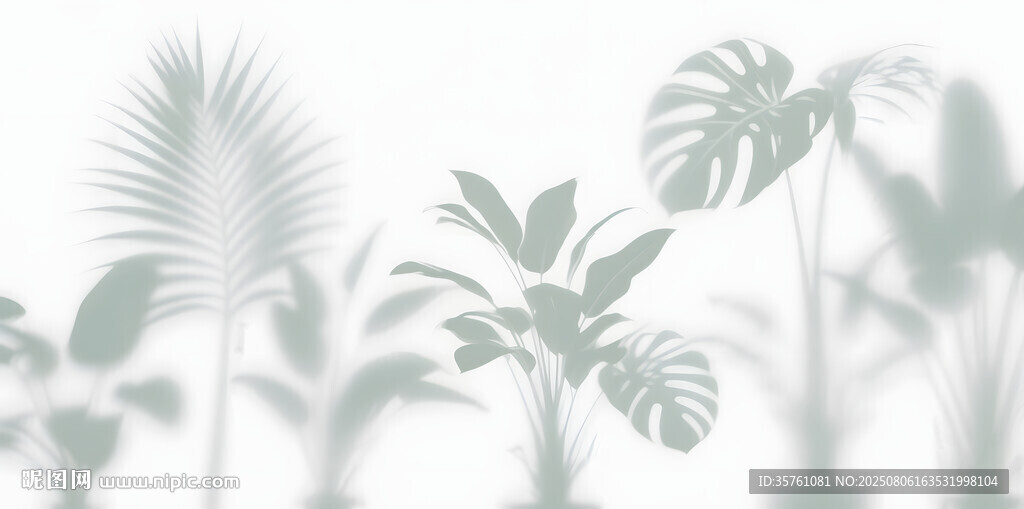 雾气磨砂膜效果绿植贴图