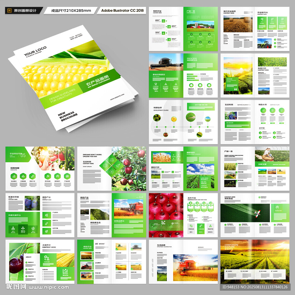 农业合作社画册